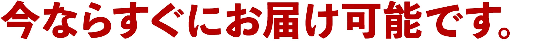 今ならすぐにお届け可能です。